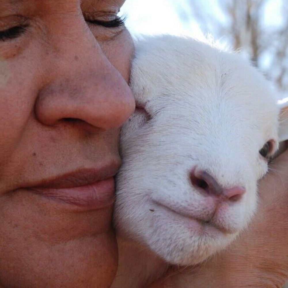 Meet your Posher, Antonella